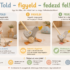 Tologatós totyogó liba infografika – mozgás, figyelem és felfedezés kisgyermekeknek